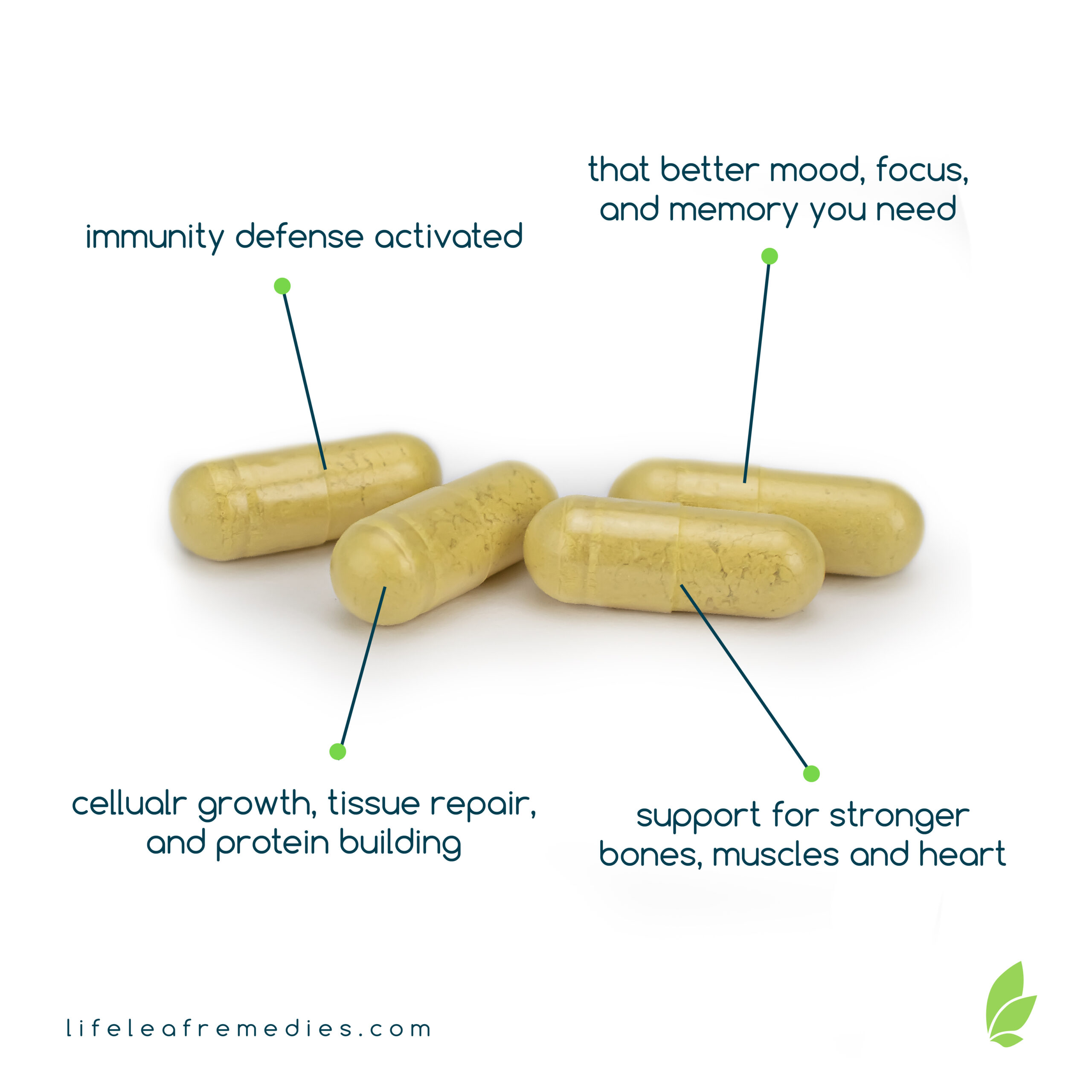 LifeLeaf_Social-ValuePoints-Capsules